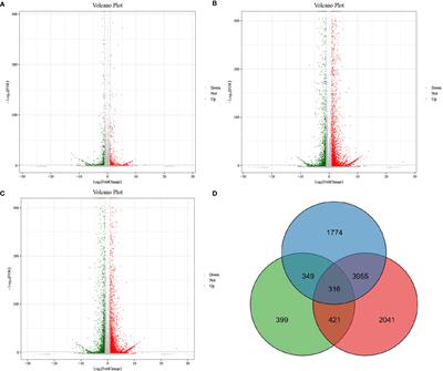 Unraveling the mechanism of potato (Solanum tuberosum L.) tuber sprouting using transcriptome and metabolome analyses